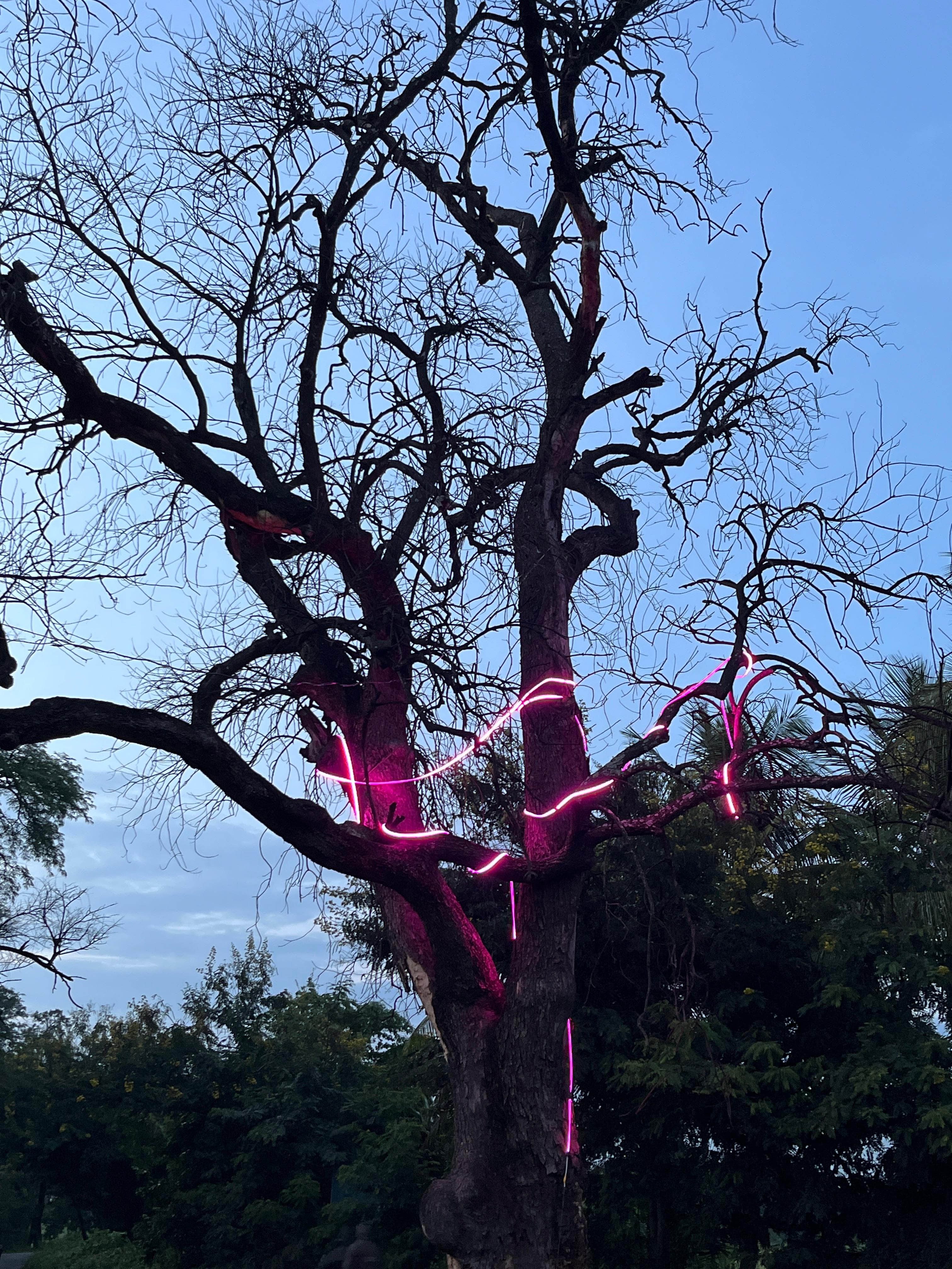 Gallery image 5 of Hotel Sniper